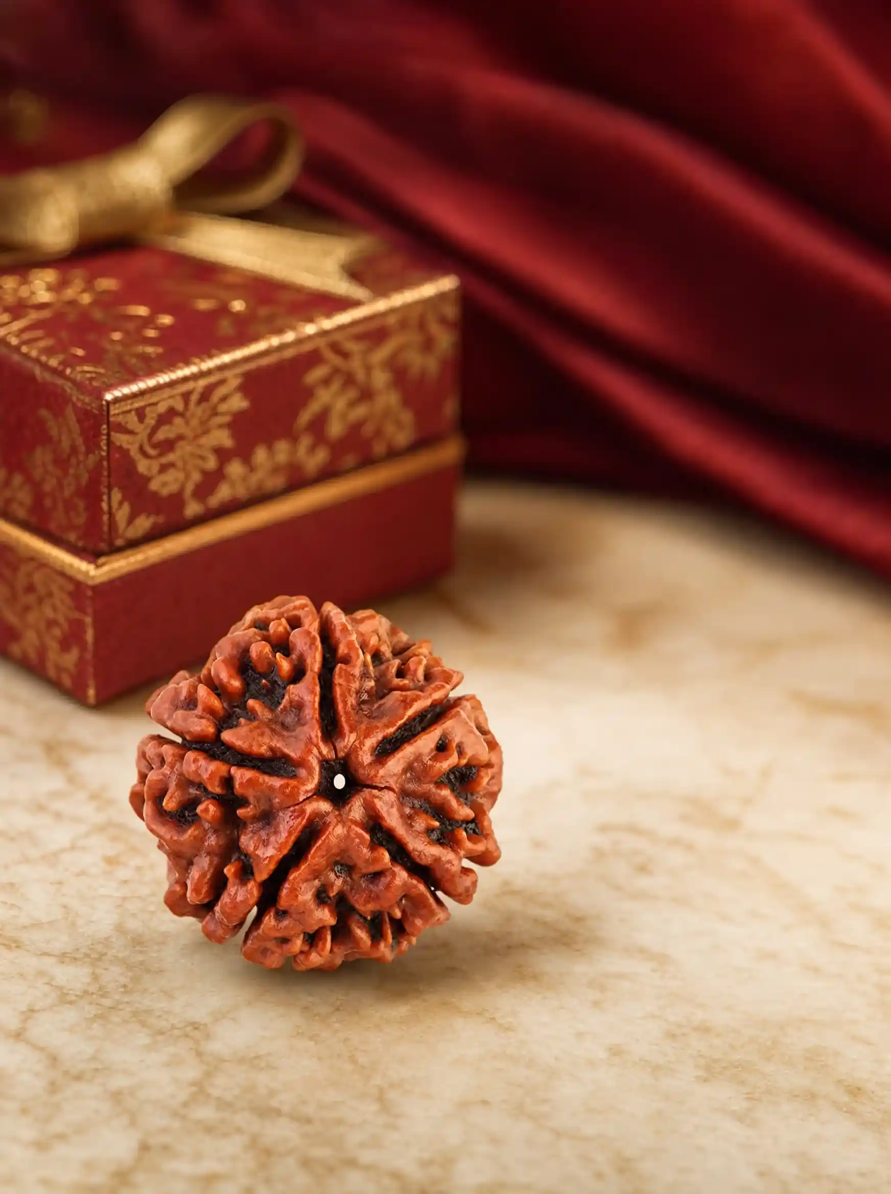 5 Mukhi Nepali Rudraksha (Gift Pack)