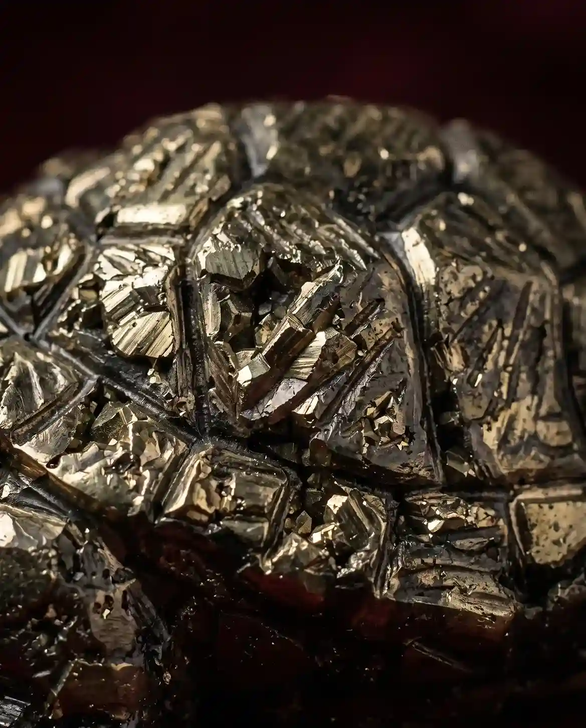 Pyrite Prosperity Tortoise (Kachhua) for Vaastu